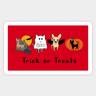 Red Halloween Chis - Smooth Coat Chihuahuas - Halloween Chihuahua Tee Magnet